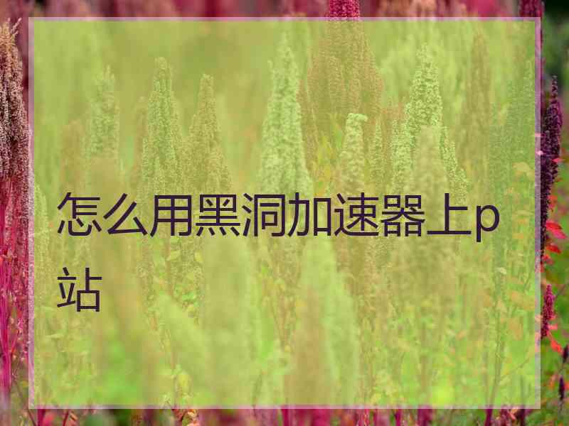 怎么用黑洞加速器上p站