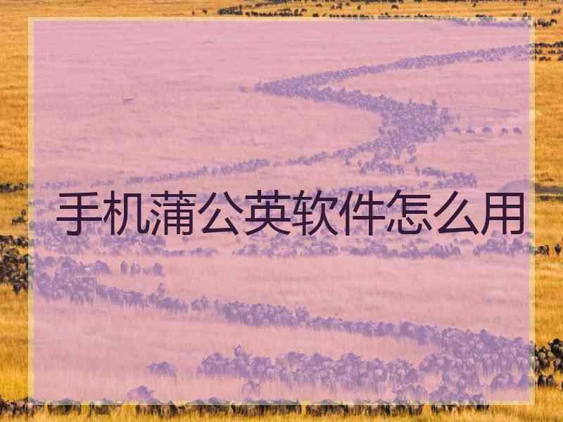 手机蒲公英软件怎么用