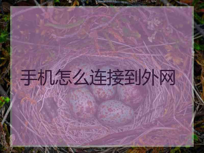 手机怎么连接到外网