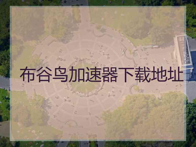 布谷鸟加速器下载地址