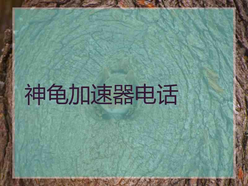 神龟加速器电话