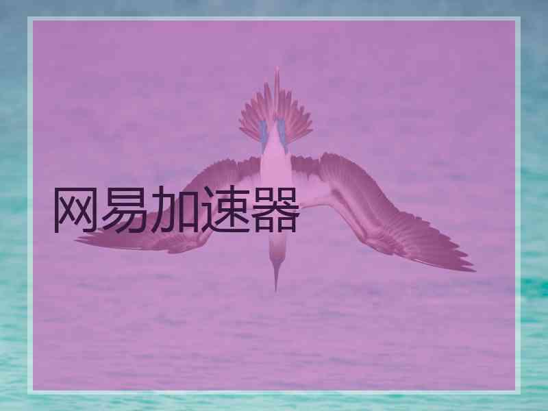 网易加速器
