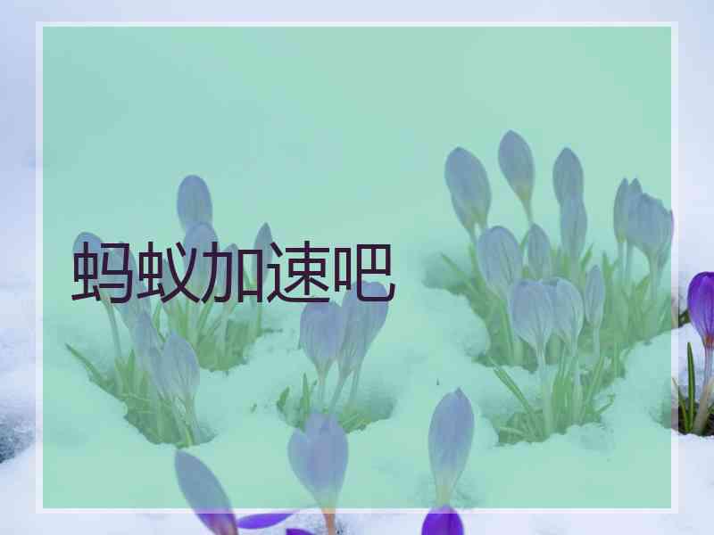 蚂蚁加速吧