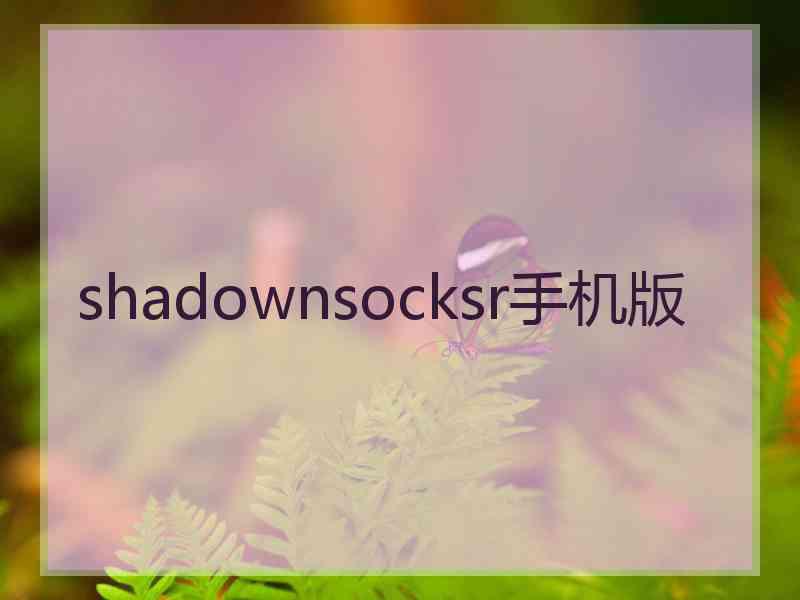 shadownsocksr手机版
