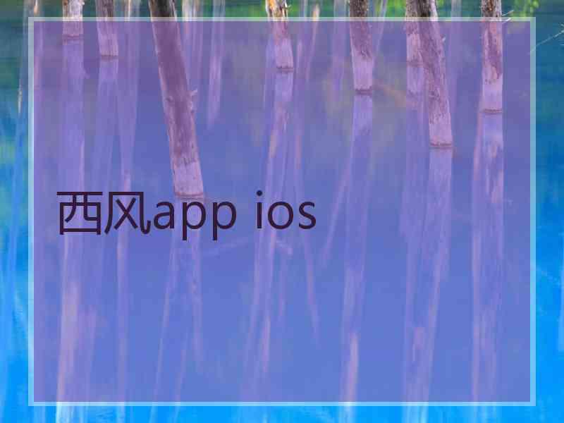 西风app ios