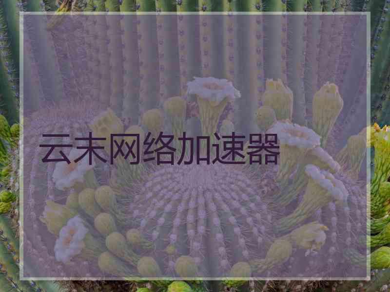 云末网络加速器
