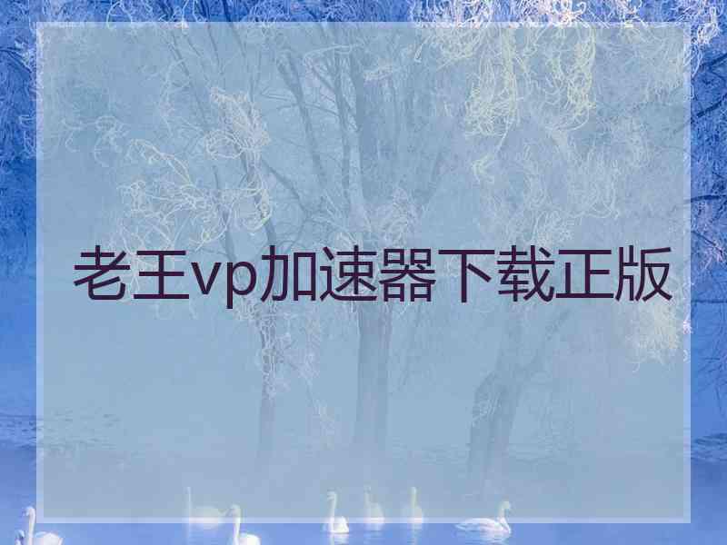 老王vp加速器下载正版