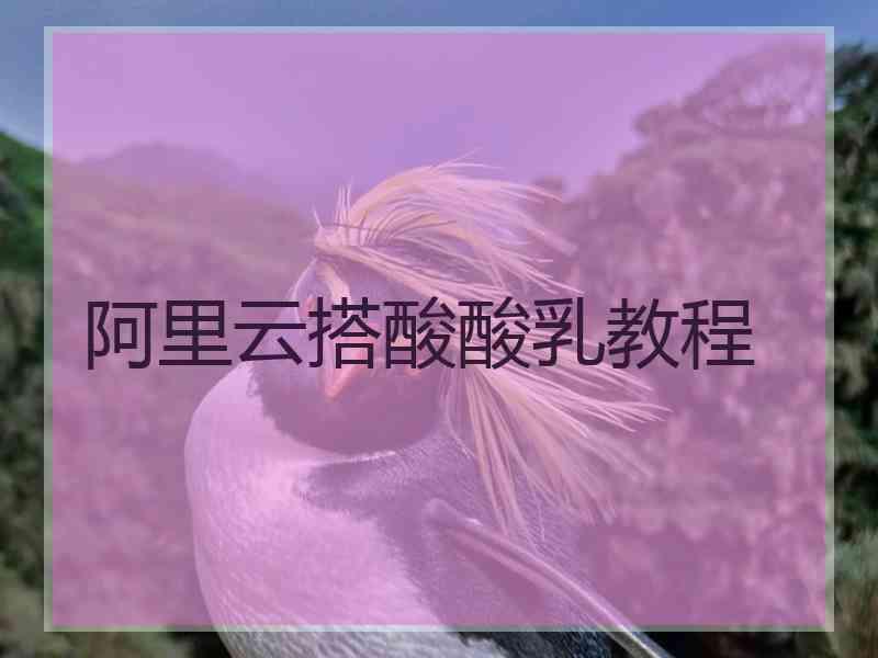 阿里云搭酸酸乳教程