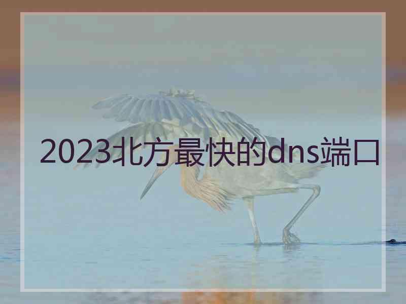 2023北方最快的dns端口