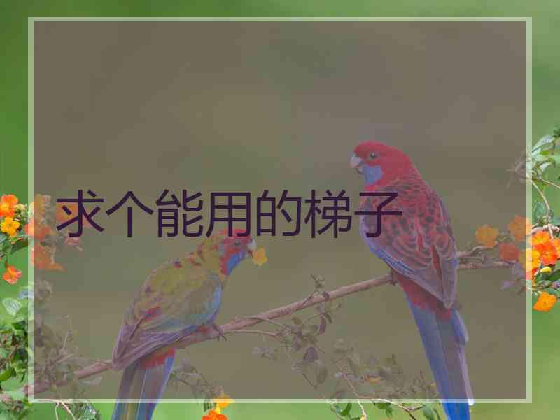 求个能用的梯子