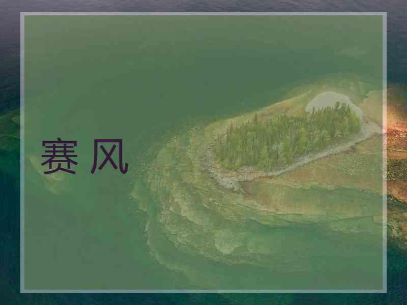 赛 风
