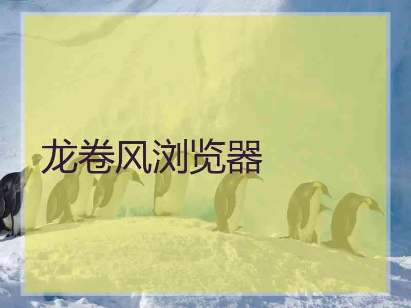 龙卷风浏览器