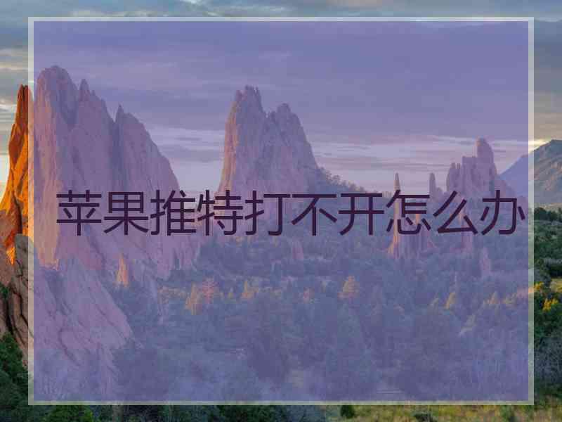 苹果推特打不开怎么办