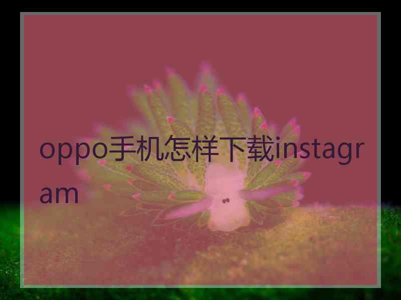 oppo手机怎样下载instagram