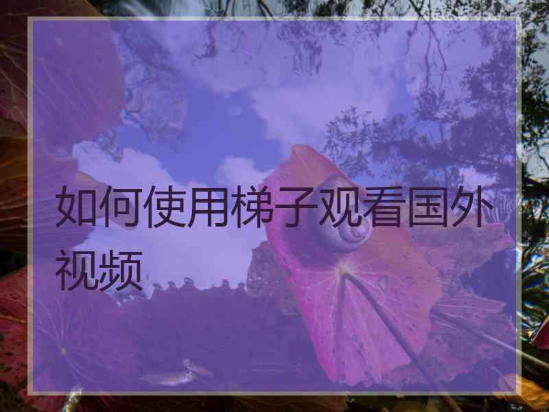 如何使用梯子观看国外视频