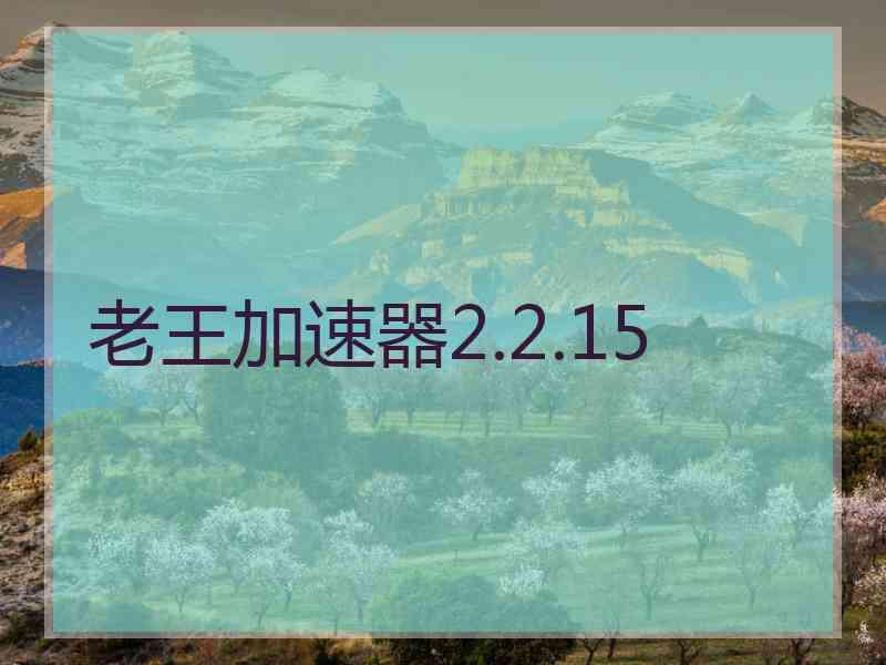老王加速器2.2.15