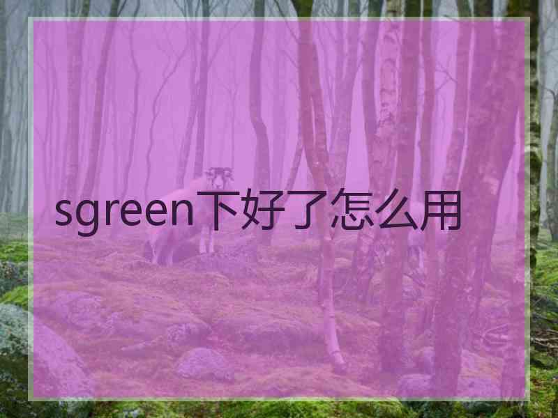 sgreen下好了怎么用