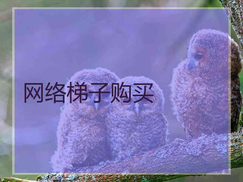 网络梯子购买