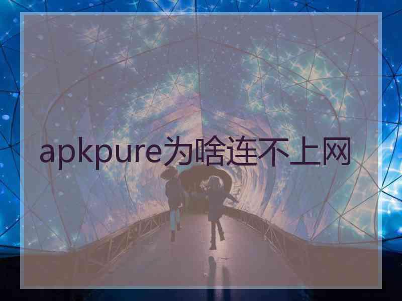 apkpure为啥连不上网