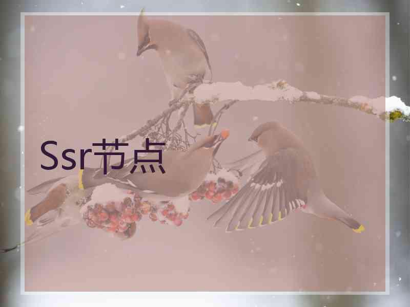 Ssr节点