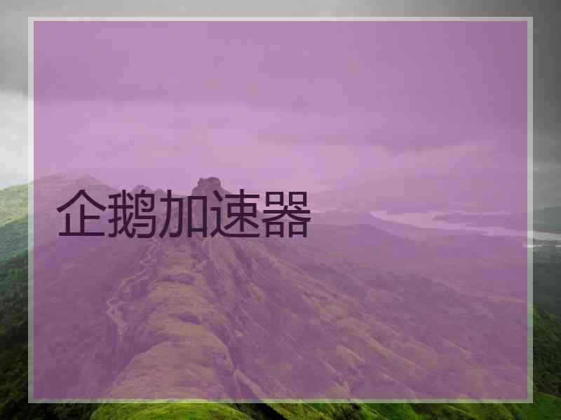 企鹅加速器