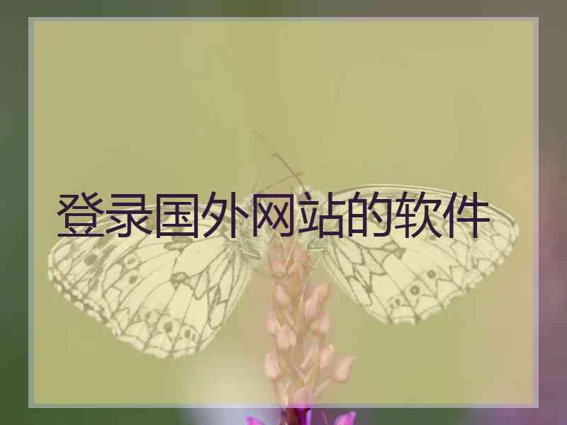 登录国外网站的软件