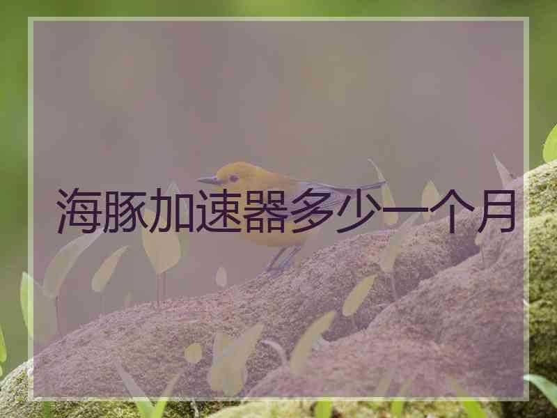 海豚加速器多少一个月