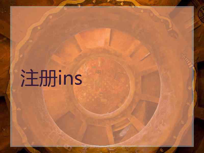 注册ins