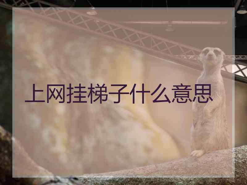 上网挂梯子什么意思