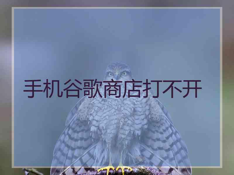 手机谷歌商店打不开