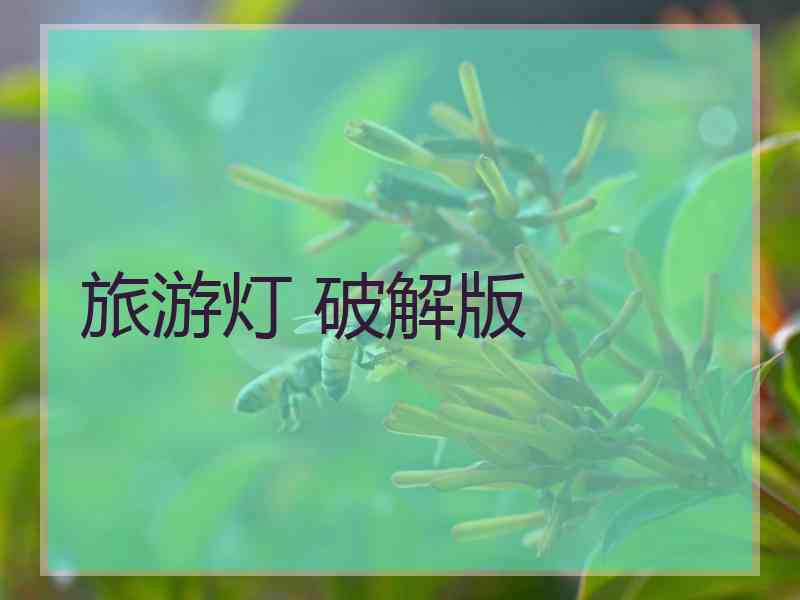 旅游灯 破解版