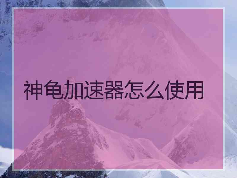 神龟加速器怎么使用