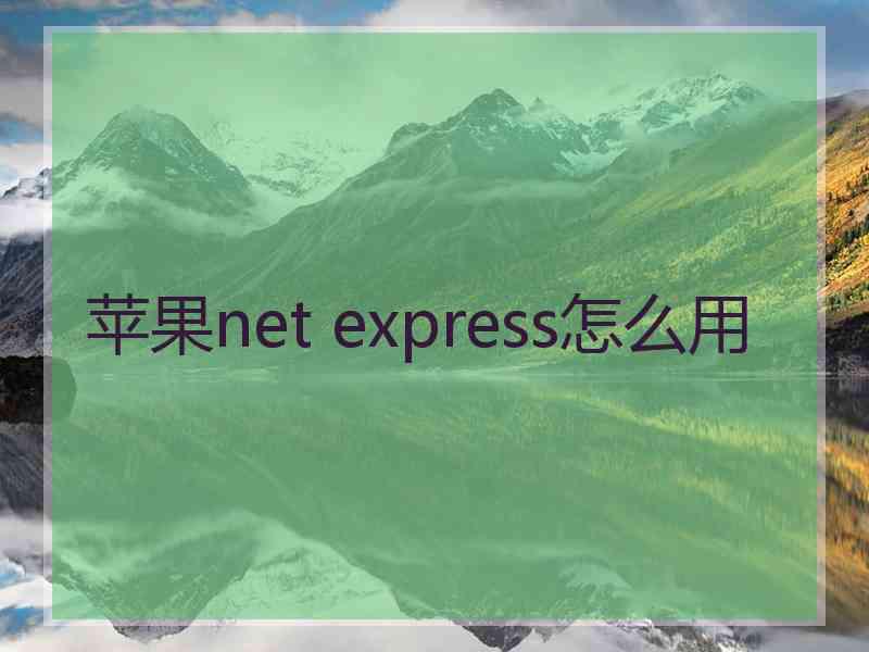 苹果net express怎么用