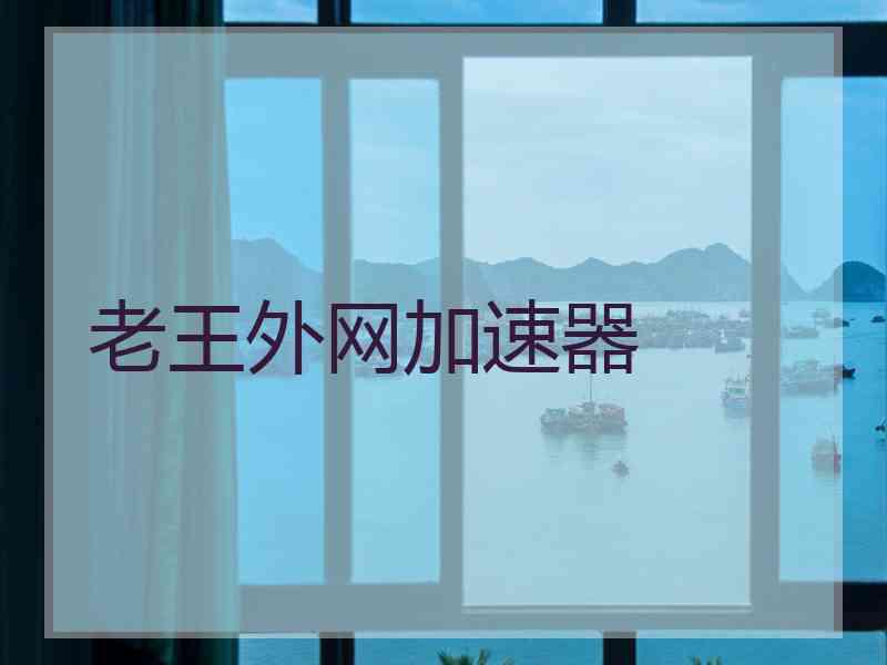 老王外网加速器