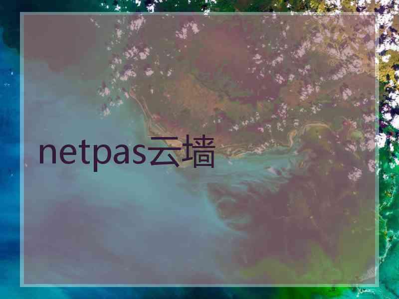 netpas云墙