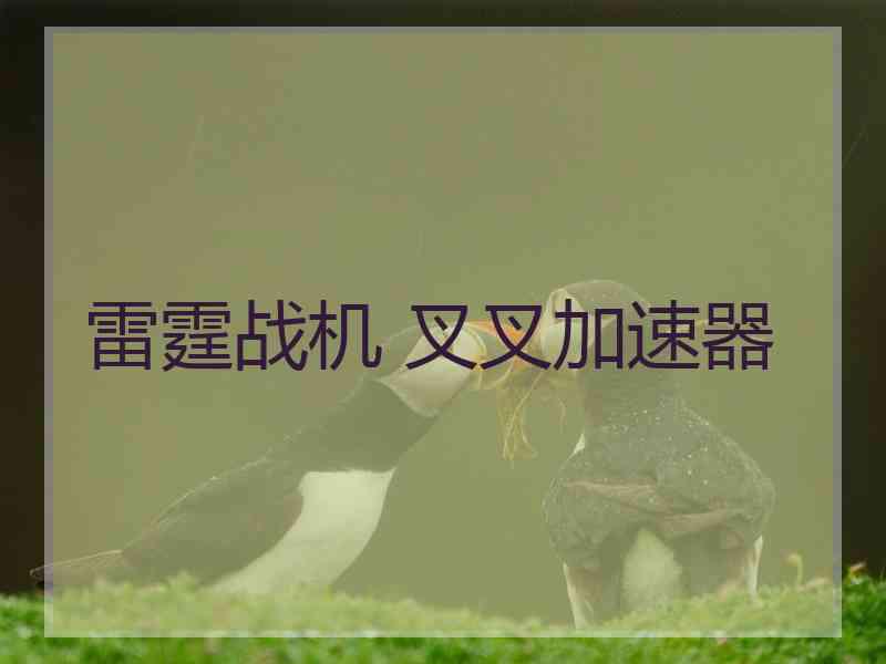 雷霆战机 叉叉加速器