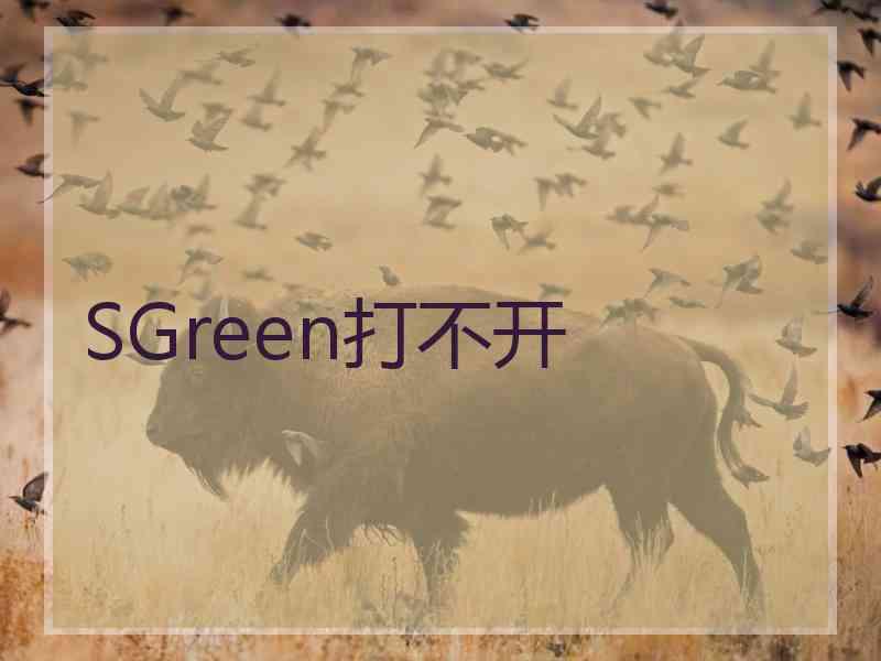 SGreen打不开