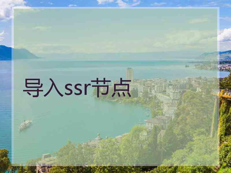 导入ssr节点
