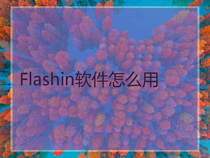Flashin软件怎么用