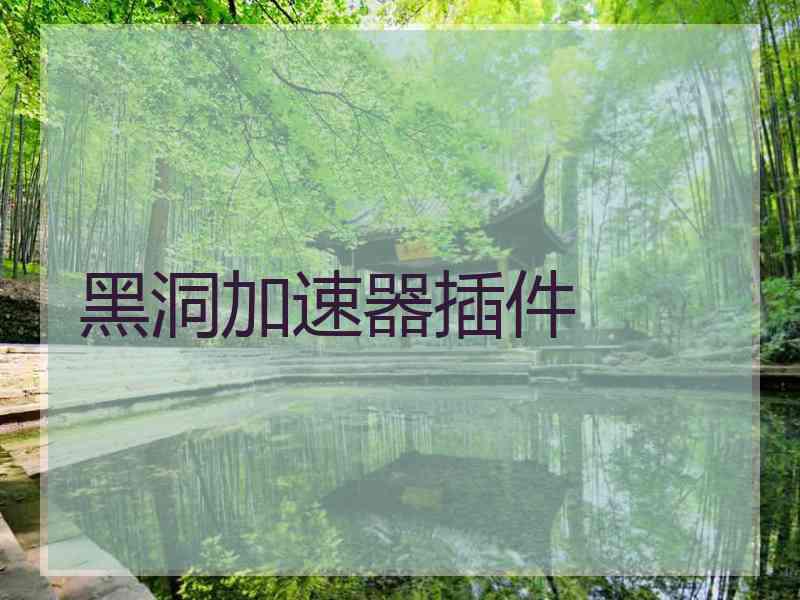 黑洞加速器插件