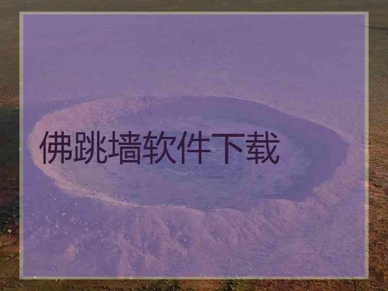 佛跳墙软件下载