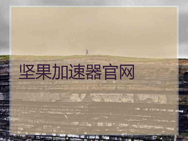 坚果加速器官网