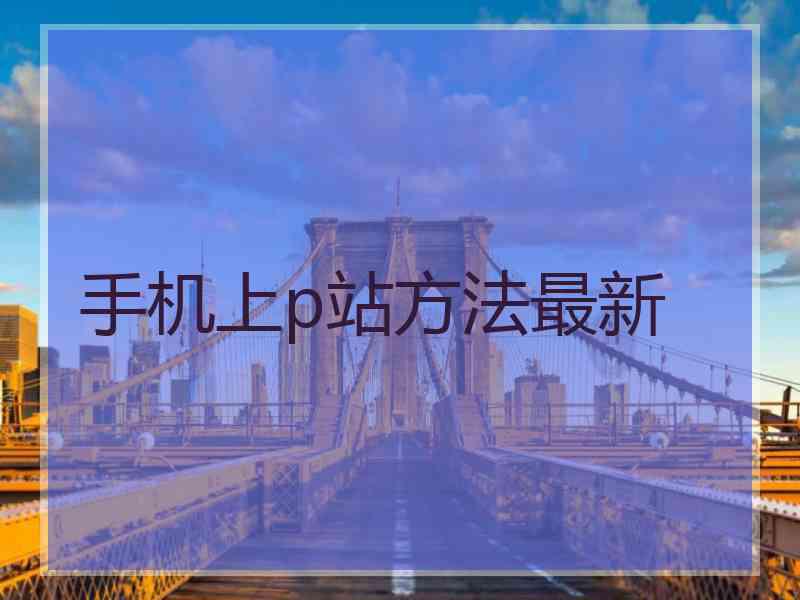 手机上p站方法最新