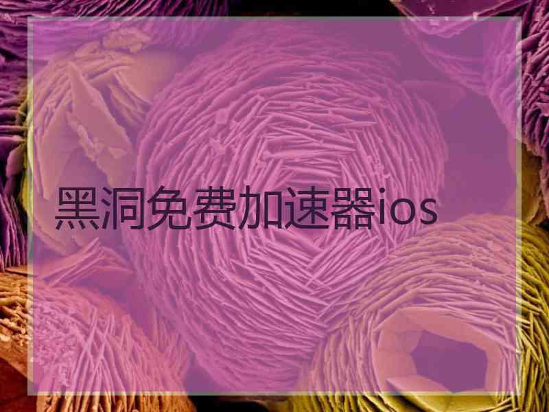 黑洞免费加速器ios