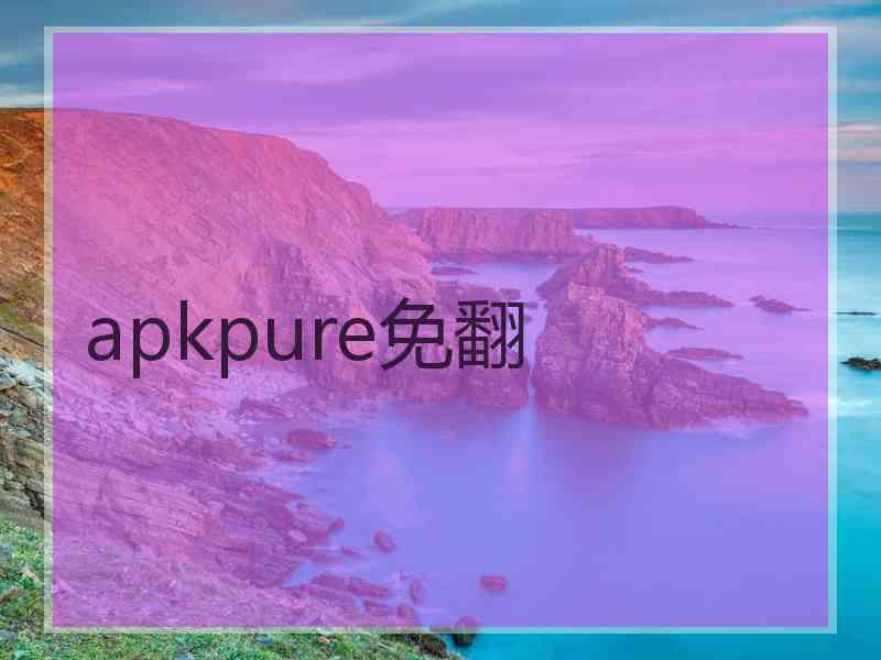 apkpure免翻