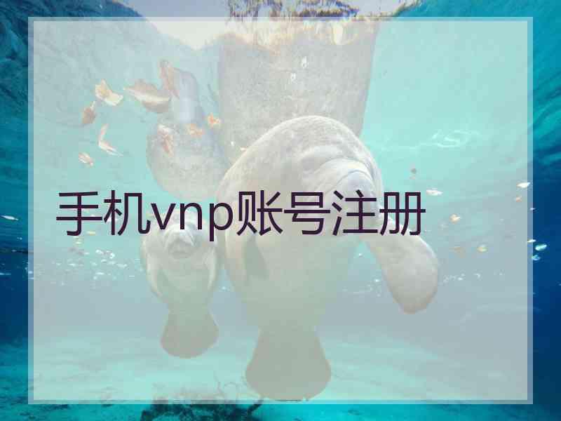 手机vnp账号注册