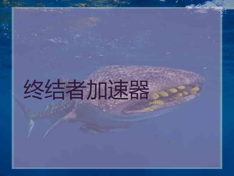 终结者加速器