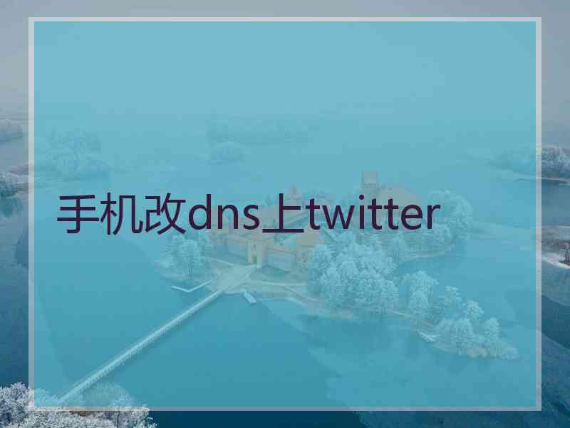 手机改dns上twitter