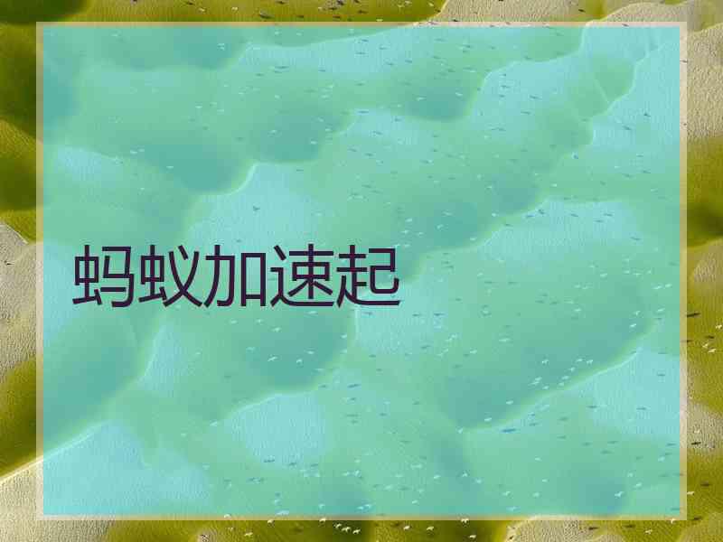 蚂蚁加速起