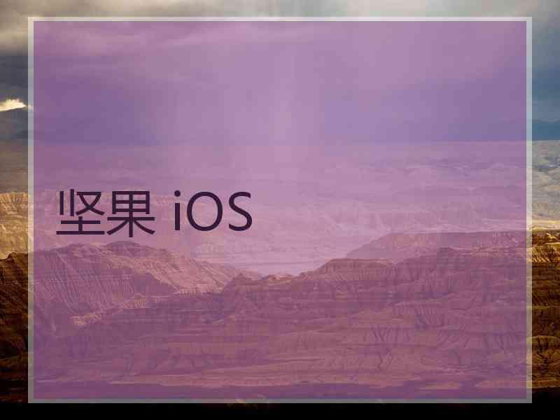 坚果 iOS